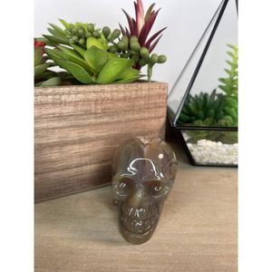 Druzy Agate Skull Carving Druzy Pocket Polished Crystal